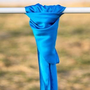 Light Blue Silk Wild Rag Scarf